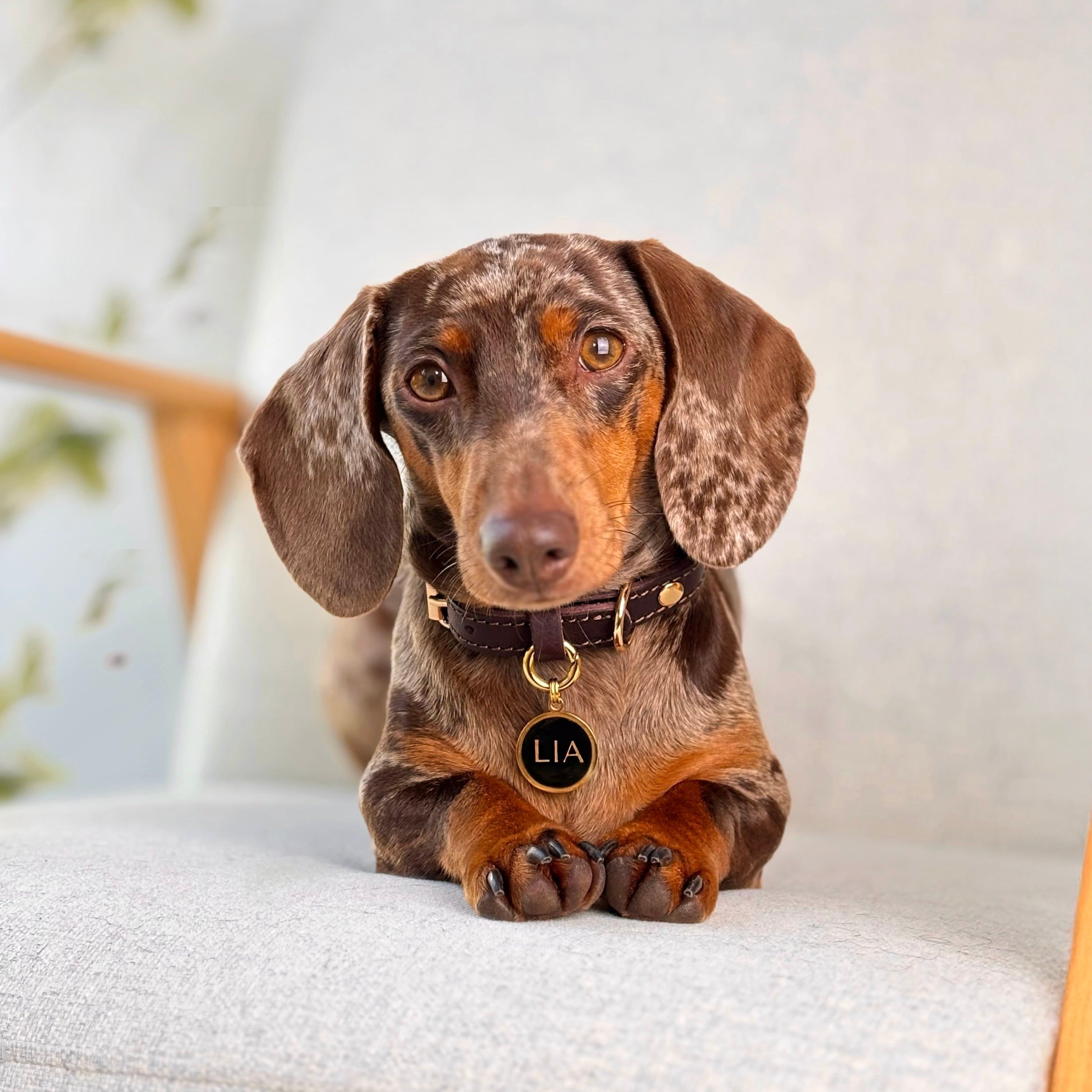 Mon Amie Brosche Detail